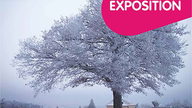 [09/06/18] La médiathèque se pare de Naturel