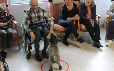 Médiation animale à l’EHPAD !